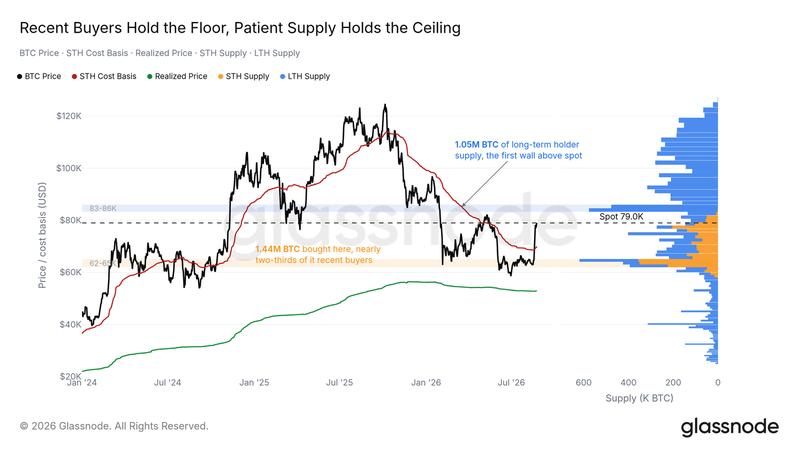 BTC supply distribution chart