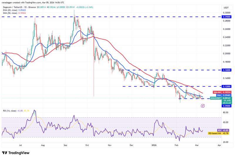 DOGE/USDT daily chart
