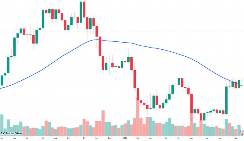 Bitcoin 50-week moving average chart